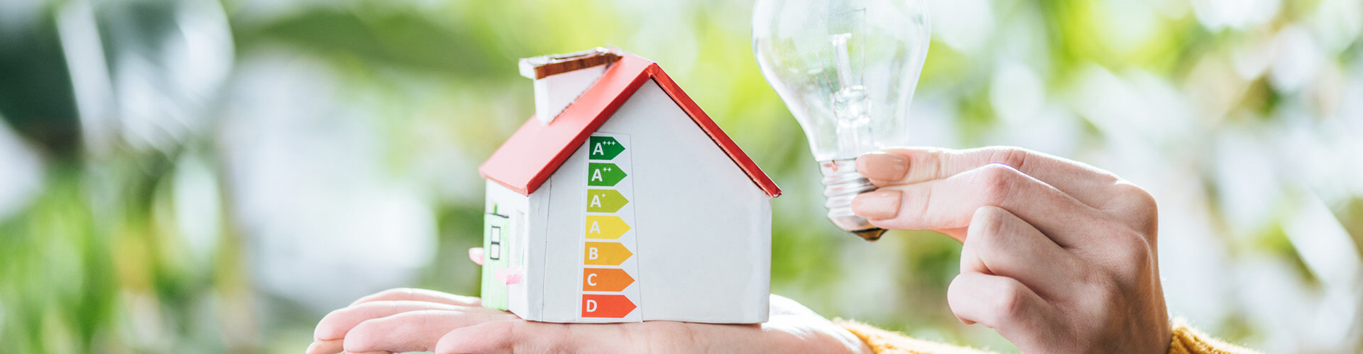 Hand hält Modellhaus und Glühbirne vor Pflanzenhintergrund