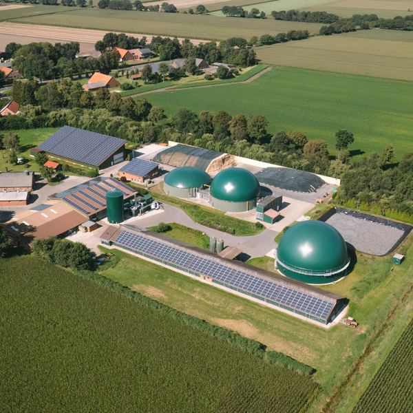 Referenze Possenriede